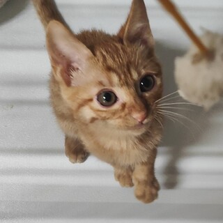 とってもキュートな　翔（しょう）ちゃん