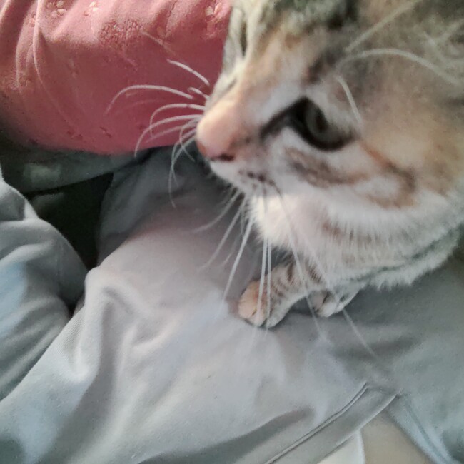 みや_のカバー写真