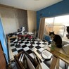 猫部屋、だいぶ形になってきた！今週はクローゼットを仕上げる！（つもりw