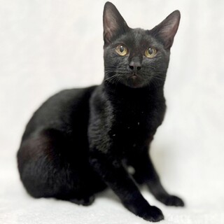 あなたを狙い撃ち♥むっちりゴル子5ヵ月