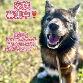 明るくおおらかな　ラッキーくん