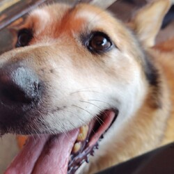 もう１０歳になりました