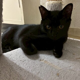 冒険家の⭐︎大黒くん