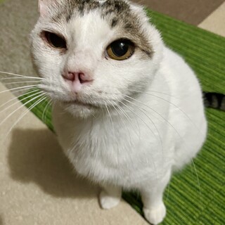 心優しく、皆んなの心の拠り所、らん丸君♪