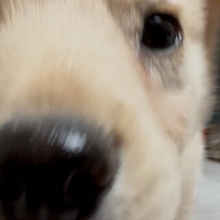 応募多数のため募集停止します