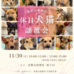倉敷市保健所　収容犬猫譲渡会
