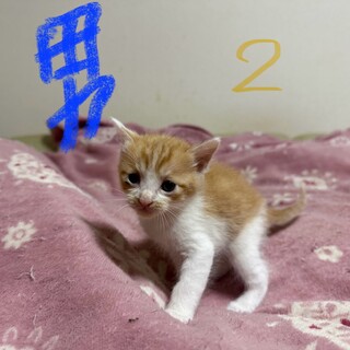 おっとりだけど遊び心たっぷり