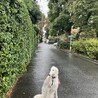 の写真