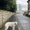 の写真