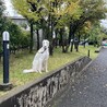 の写真