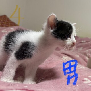 元気で食いしん坊な男の子