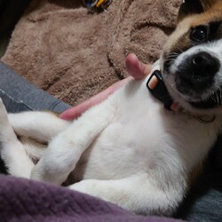 ぼんちゃんは可愛い…