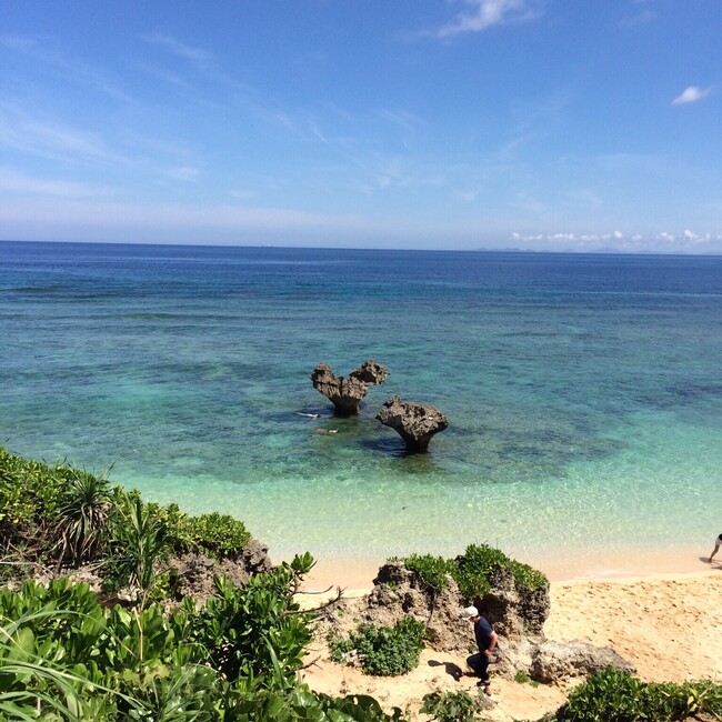 あきうおのカバー写真