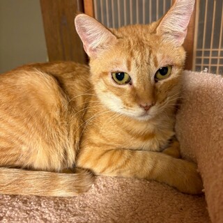 心優しいひなちゃん