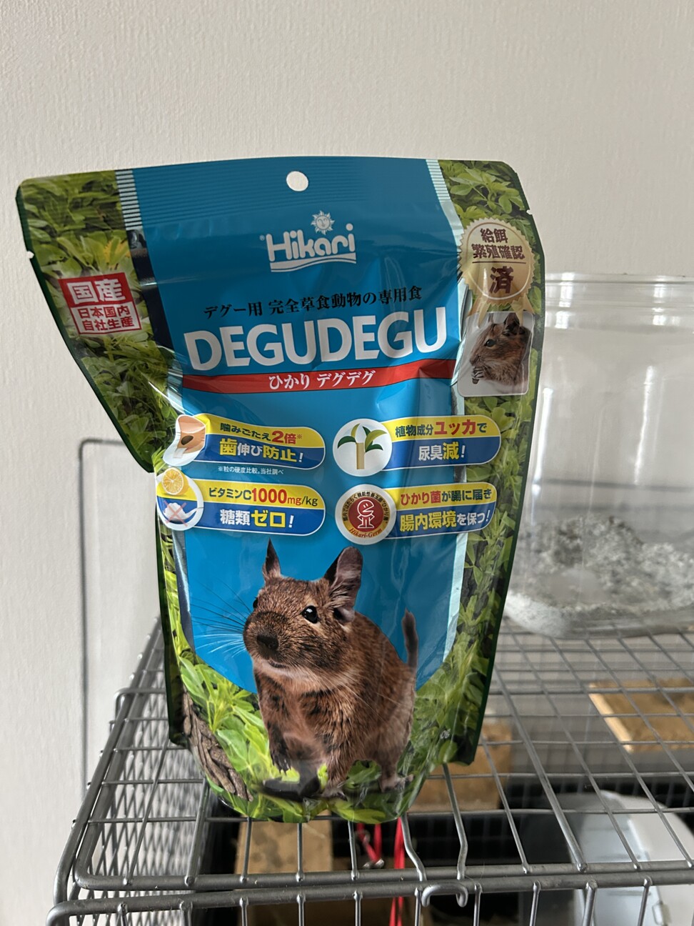 デグー3歳メス　不正咬合持ちです サムネイル3