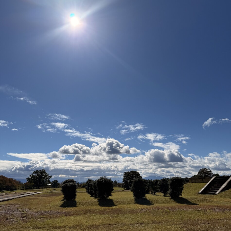リアンのカバー写真