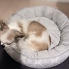 の写真