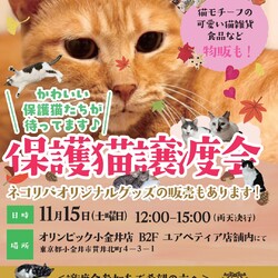 保護猫譲渡会@オリンピック小金井店