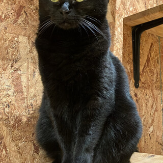 穏やかで優しいエキドナちゃん