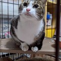 おっとり甘えっ子ランちゃん