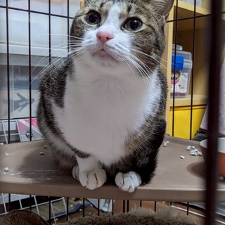 おっとり甘えっ子ランちゃん