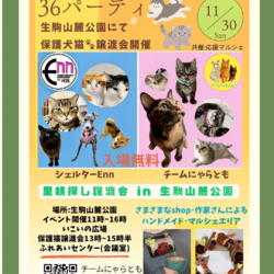 生駒36(サンロク)パーティ