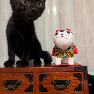 お膝の上が大好き運動神経No.1♡