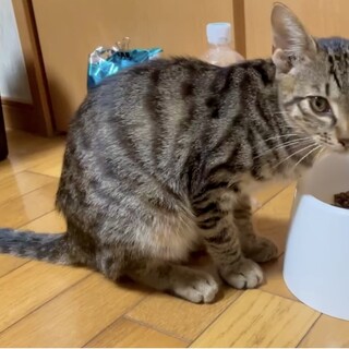 あまえんぼ男子 ★ セラ