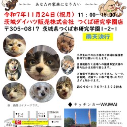 犬猫譲渡会～あなたの家族になりたい～