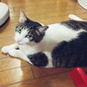 暖路地