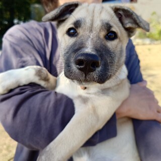 100年に一度の逸材☆☆☆【モンくん】