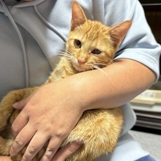 おっとりさんで兄妹と仲良し