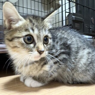 ノギちゃん❣️