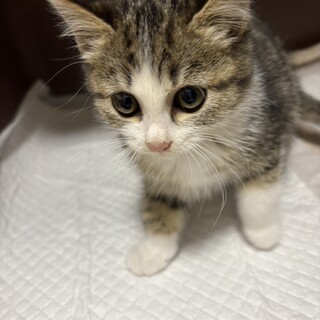 かわいいヒナタちゃん❣️