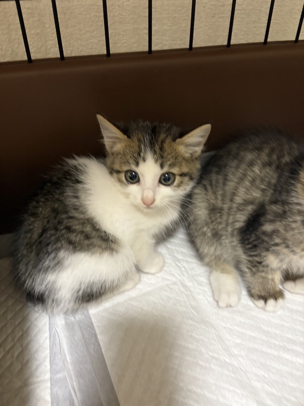 かわいいヒナタちゃん❣️ サムネイル3