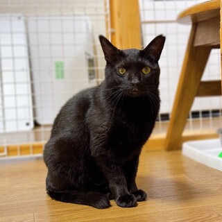 なでられると嬉しくて声が出ちゃいます♡