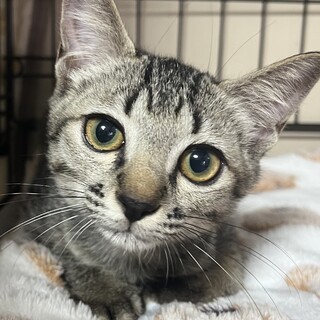 里親決定★優しいお顔のメガネ君