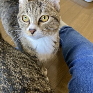 なでなで大好き♪甘えん坊の女の子