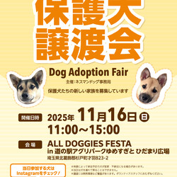 ALL DOGGIES FESTA 保護犬譲渡会