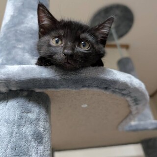 おっとり優しい控えめ男子⭐︎