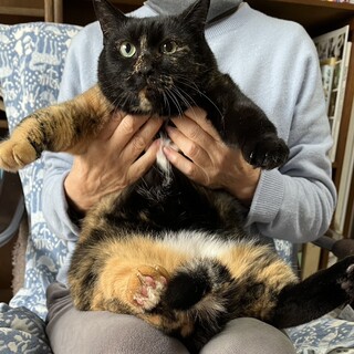 ぽっちゃり可愛いさび子ちゃん♡