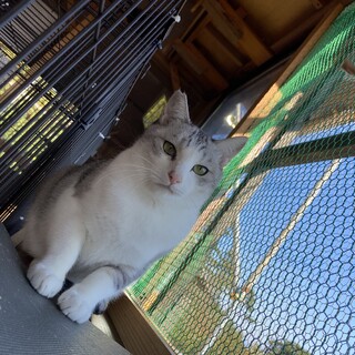 控えめに甘える姿が可愛いしずかくん