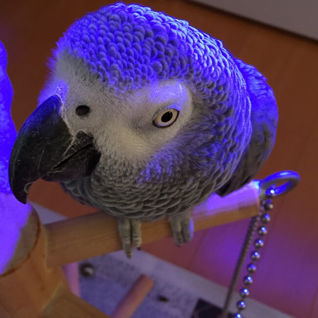 TAKE5678のカバー写真