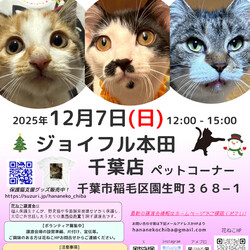 花ねこ譲渡会