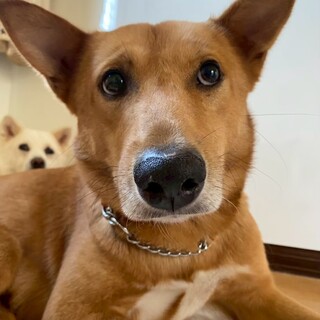 おだやか男子【ライト】くん