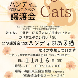 Challenged Cats 〜ハンディのある猫たちの譲渡会〜
