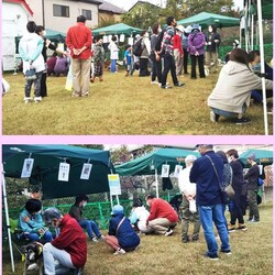 ちばわん八王子プチいぬ親会 サムネイル2