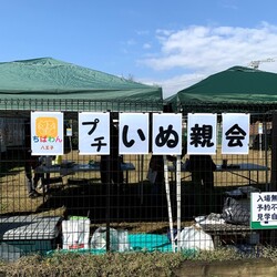 ちばわん八王子プチいぬ親会 サムネイル3