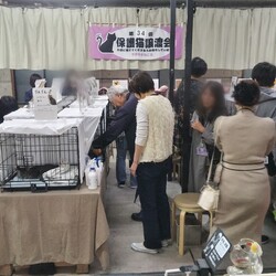 第35回 平野ろまねこ譲渡会 サムネイル2
