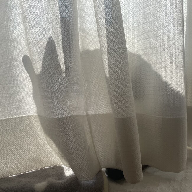 そらmimiのカバー写真